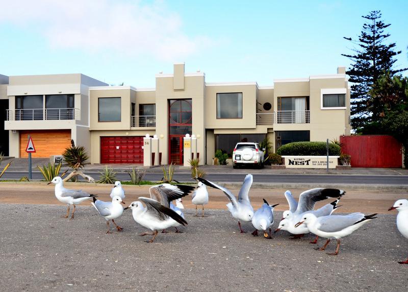 Kleines Nest Bed And Breakfast Walvis Bay Bagian luar foto